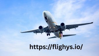 Flighys