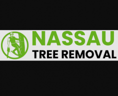 treeremovalnassauny