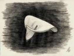 paulirulo