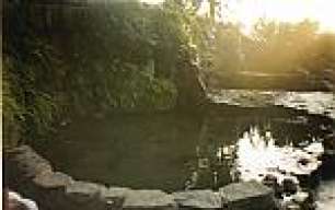 anamariacvm