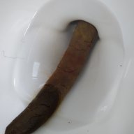 Toma Caca