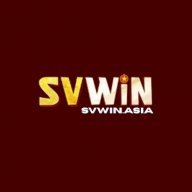 vnsvwin