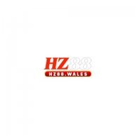 Hz88wales1