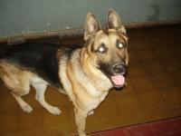 manucalderon