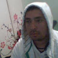 Gordo seba