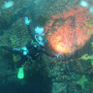 diegoxtrue