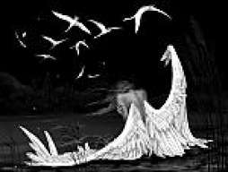 willowsam
