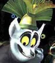 don toto