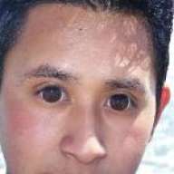 dany2008