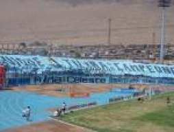 tlobos