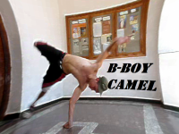 ilcamello
