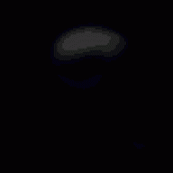shorty_s