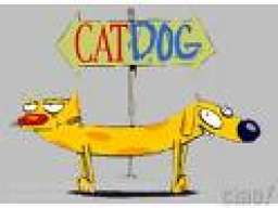gatoperro