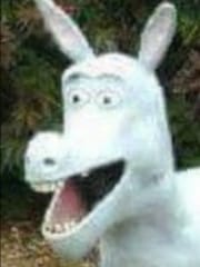 cxrao