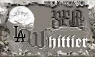 lil_popis_12