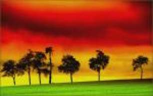 RooTsTafari