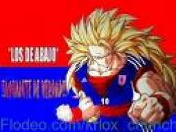 tejon
