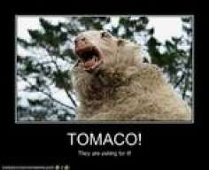 yo nomas