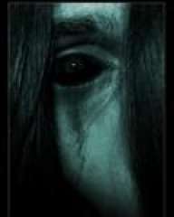 yeye1133