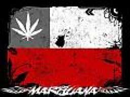 cerecera_oz