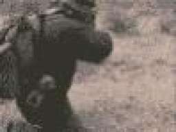 tacv