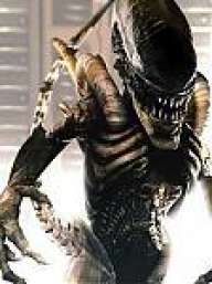XenomorphZ