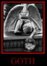 Destroying Angel