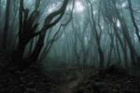 macrocosm