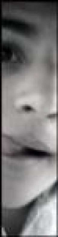 Dontsee