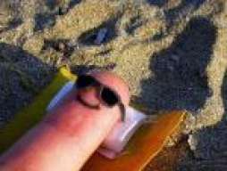 cookol