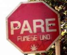PauloAraya