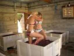 Gatita_hot