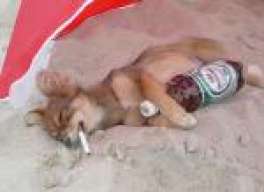 hector1991