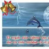 cossita-