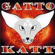 GattoKatt