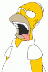 HOMERO SIMPSONS
