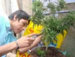 sebalbo89