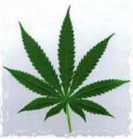 .PuntoRoJo#~