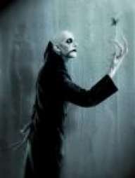 matk_dark