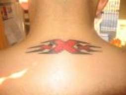 tramicxx
