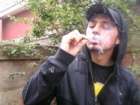 panshoGB
