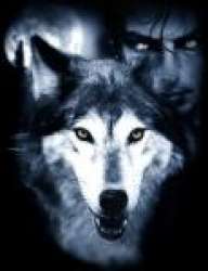 Night_Wolf