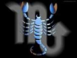scorpion_28