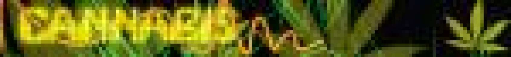 niko.reggae