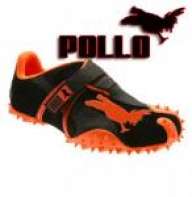pollitodj