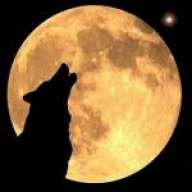 soyUnLobo