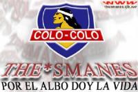 albo_loco_7