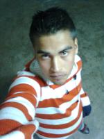 spart8