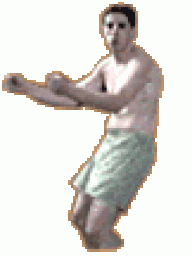 polvo