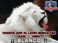 antonio29